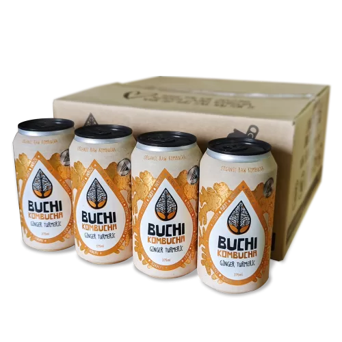 Buchi Ginger Turmeric Kombucha Carton